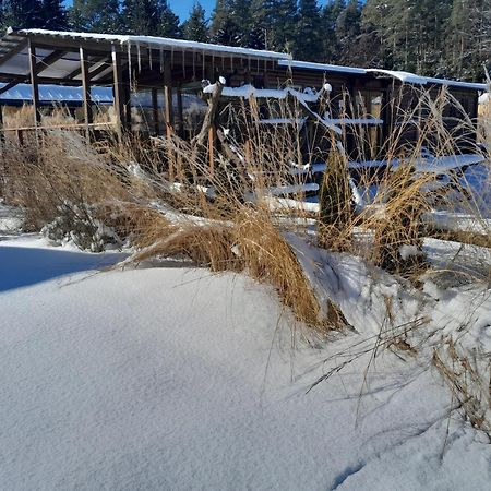 Siedlisko Pod Debem Hotell Wilimy Exteriör bild
