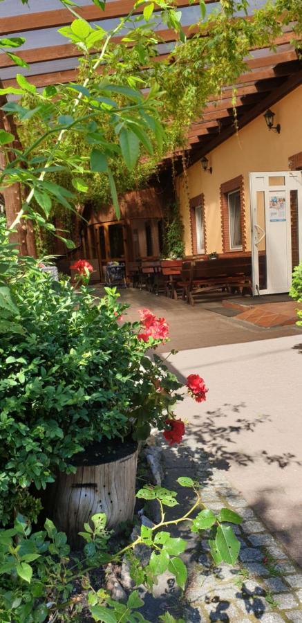 Siedlisko Pod Debem Hotell Wilimy Exteriör bild