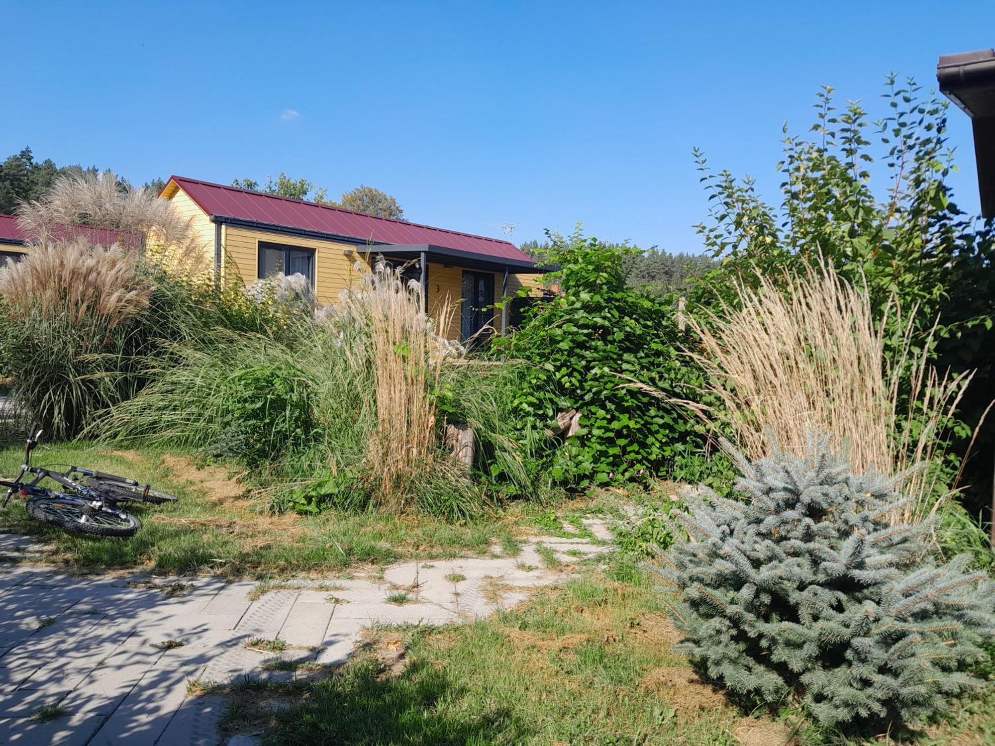 Siedlisko Pod Debem Hotell Wilimy Exteriör bild