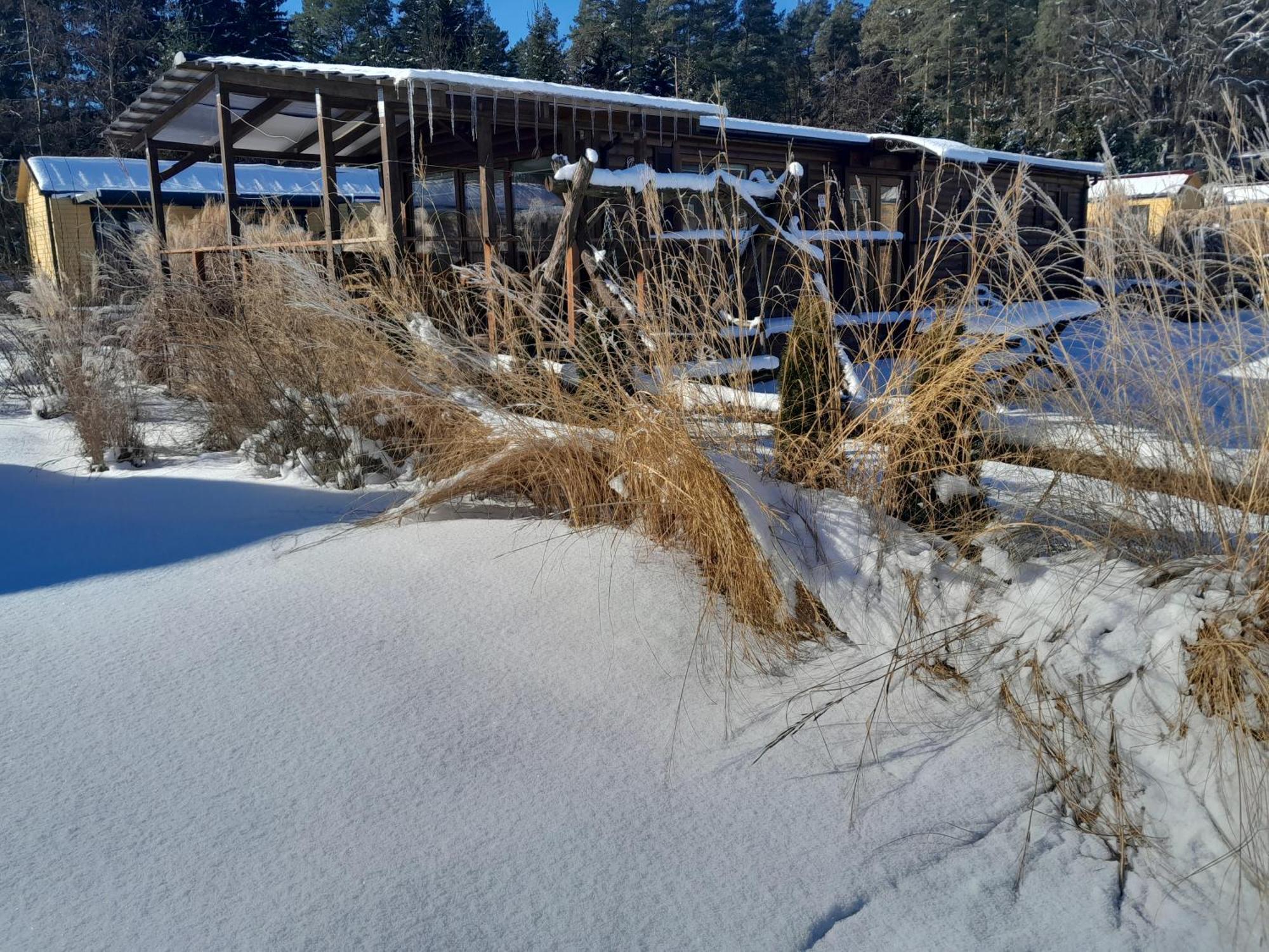 Siedlisko Pod Debem Hotell Wilimy Exteriör bild